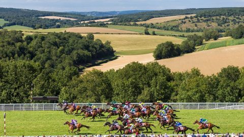 Qatar Goodwood Festival